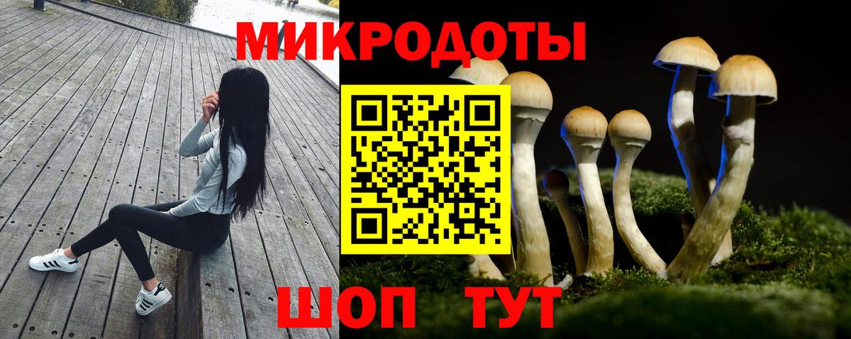 Псилоцибиновые грибы Cubensis Люберцы
